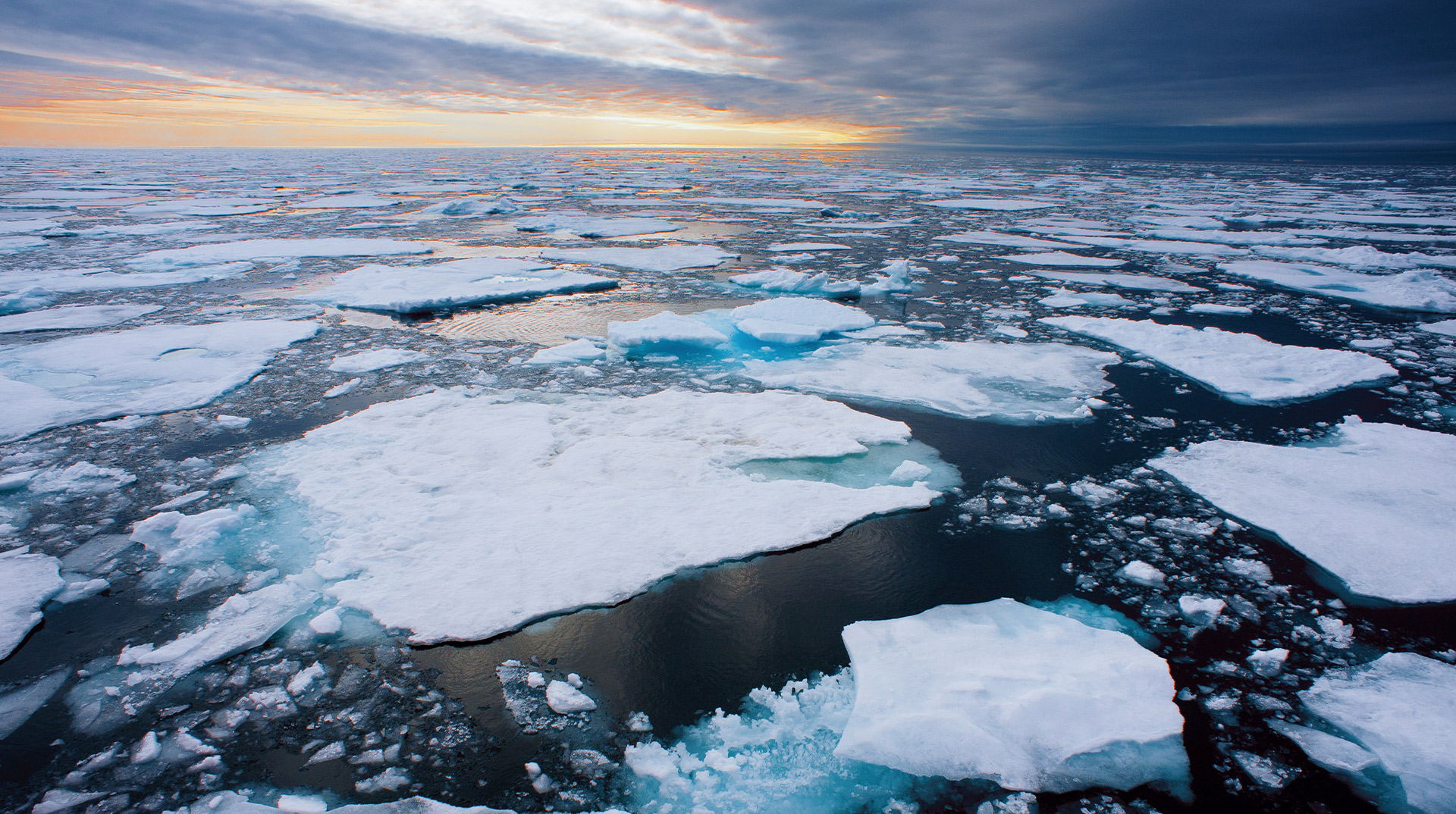 Декоративное изображение