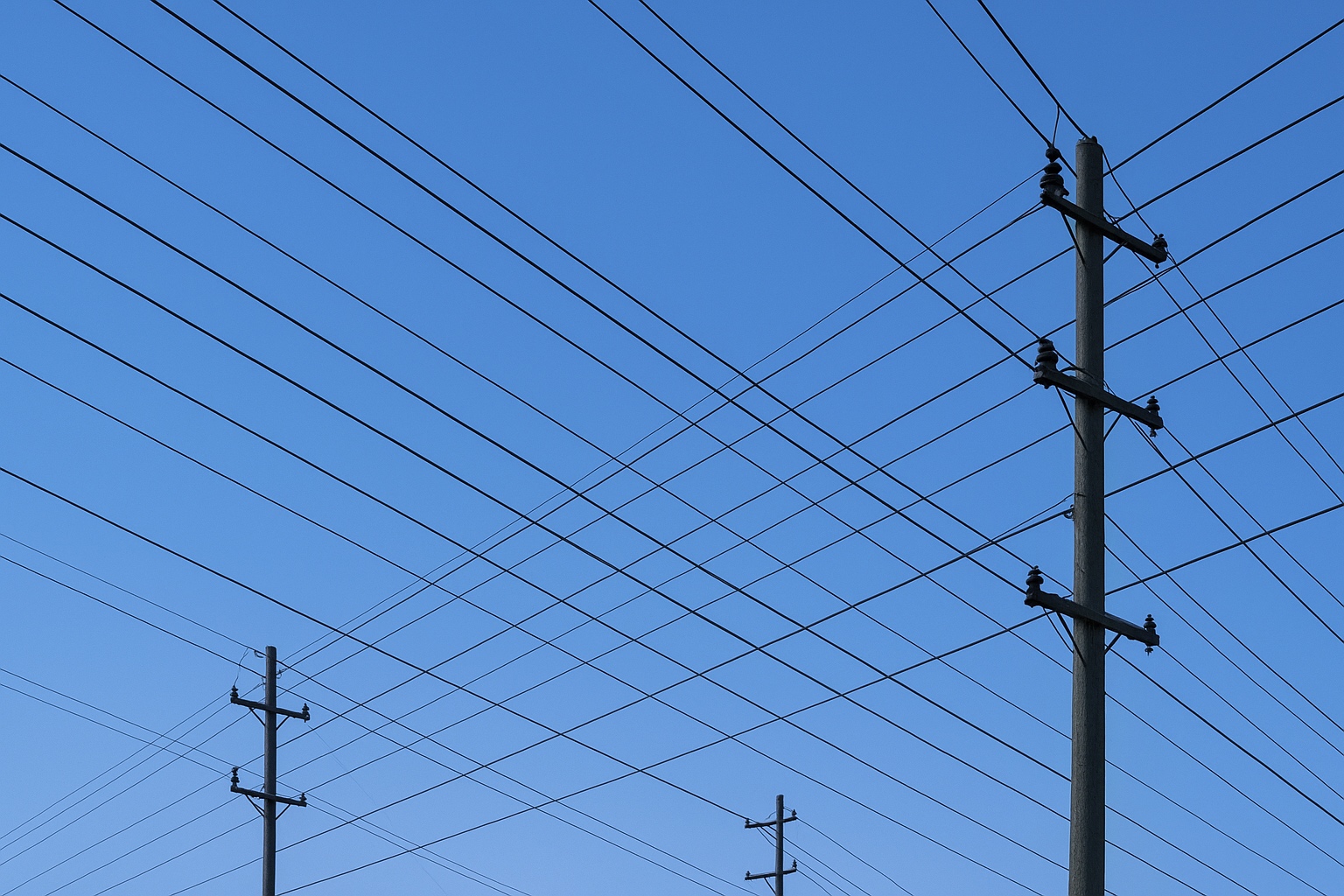 Декоративное изображение